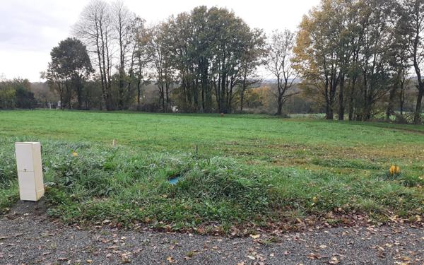 Terrain à vendre    La Couyère