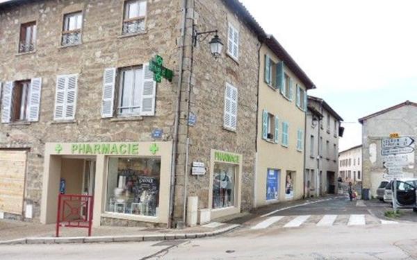 Immeuble à vendre    9 pièces •  Thurins