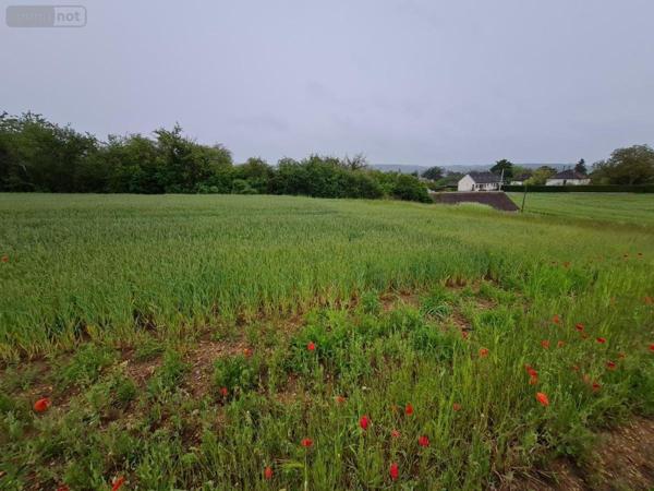 Terrain à Batir à vendre à Montoire-sur-le-Loir dans le Loir-et-Cher (41800), ref : 41059-838