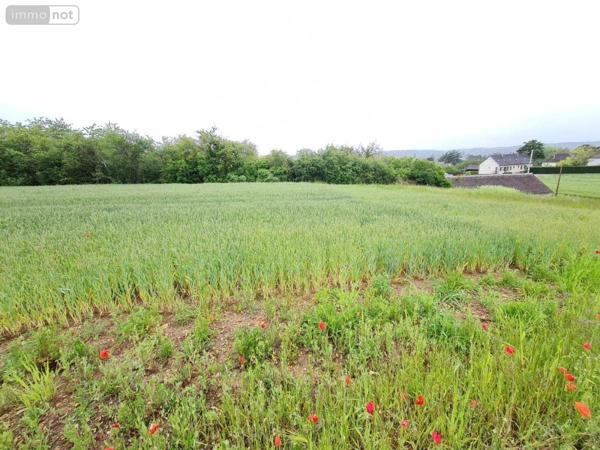 Terrain à Batir à vendre à Montoire-sur-le-Loir dans le Loir-et-Cher (41800), ref : 41059-838