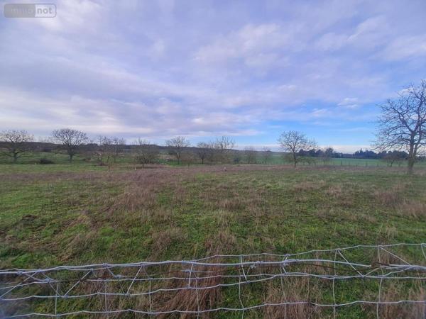 Terrain à Batir à vendre à Montoire-sur-le-Loir dans le Loir-et-Cher (41800), ref : 41059-894