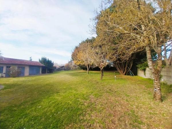 SALLES MAISON ARCACHONNAISE DE 150M² SUR TERRAIN DE 2307M2