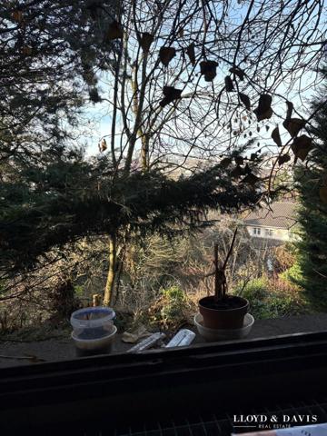 Propriete en Viager Occupé