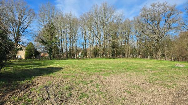 TERRAIN PLAT - CALME - ENVIRONNEMENT CAMPAGNE