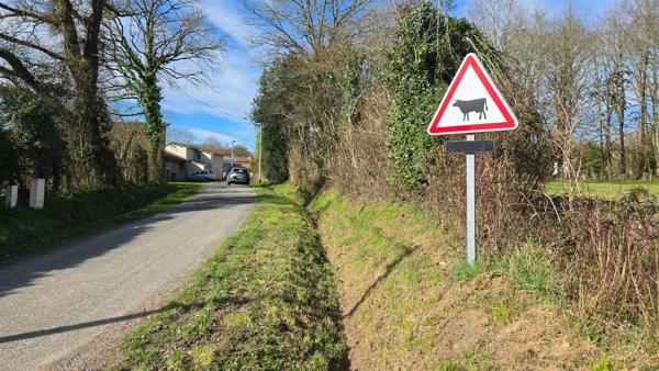 TERRAIN PLAT - CALME - ENVIRONNEMENT CAMPAGNE