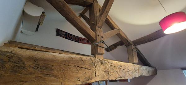 Ferme bressane rénovée – charme et authenticité à quelques minutes de Bourg en Bresse