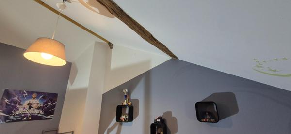 Ferme bressane rénovée – charme et authenticité à quelques minutes de Bourg en Bresse