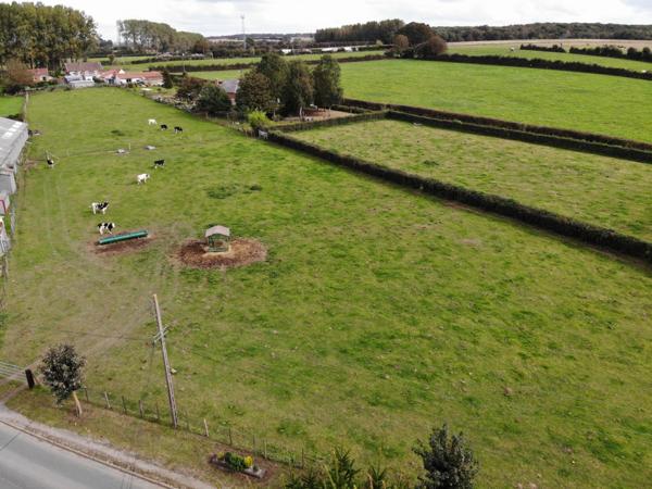 Vente TerrainBLANGY SUR TERNOISE (62770)