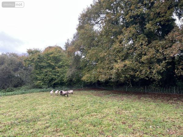 Maison à vendre à Plésidy dans les Côtes-d'Armor (22720), ref : 22064-1160