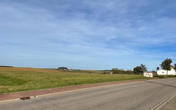 Terrain à vendre    Dommary-Baroncourt