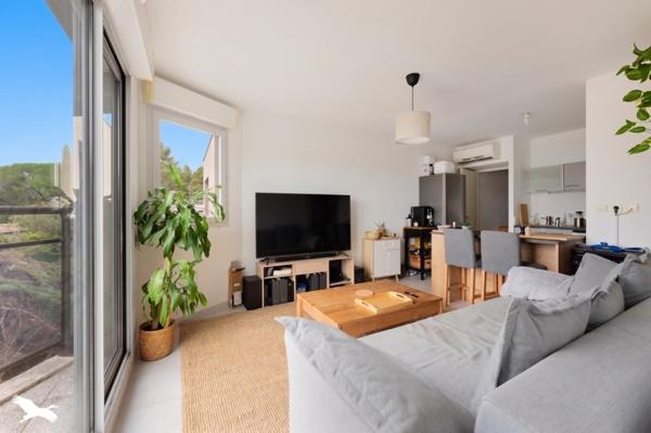 Appartement à vendre 209 825 € Montpellier 2 p 40 m² DPE C