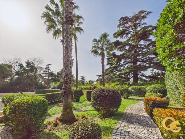 Duplex à CANNES (06400)