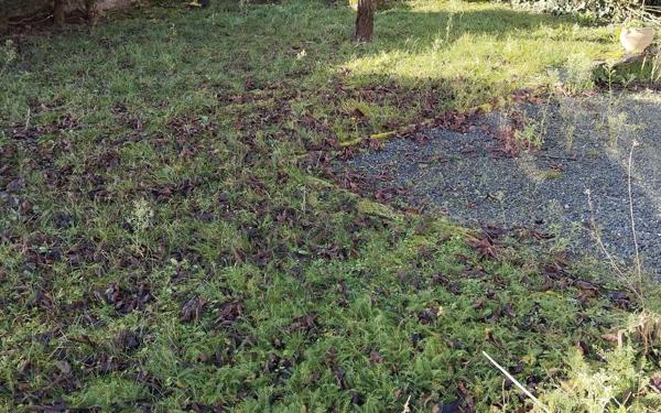 Maison à vendre    5 pièces • 166 m2 Vatan