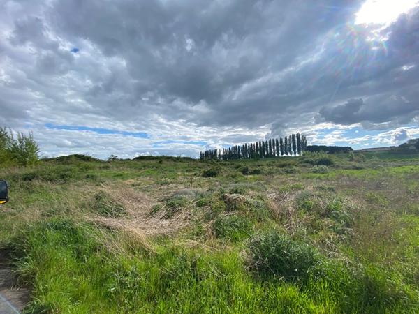 Terrain Harly 5300 m2