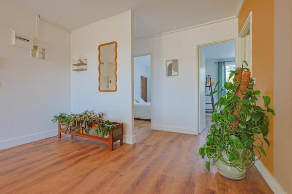 Location / Appartement