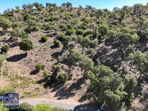 Terrain à vendre Sainte-Maxime (83120)