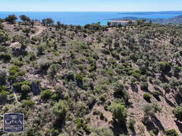 Terrain à vendre Sainte-Maxime (83120)