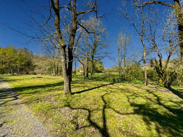 Coup de coeur assuré !