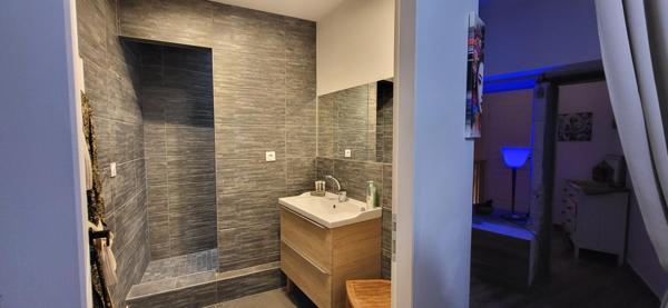 Immeuble avec local professionnel et grand appartement