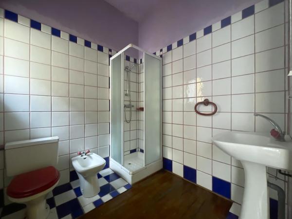 Maison de village avec petit jardin, terrasses et garages