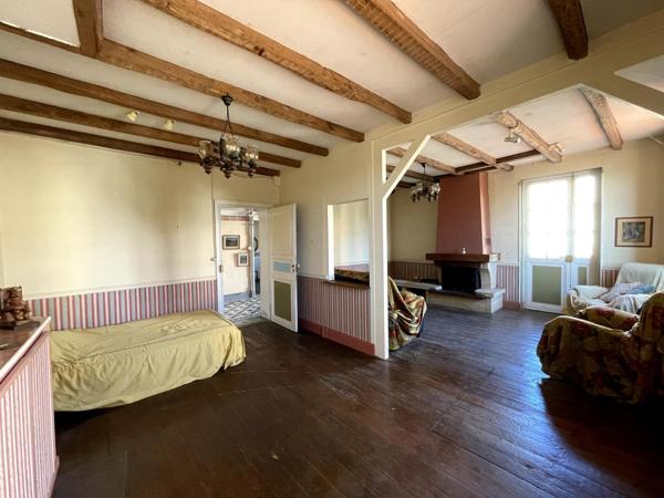 Maison de village avec petit jardin, terrasses et garages