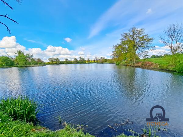 Le Theil (03240) Maison d’habitation avec étang fondé en titre sur 9,4 hectares