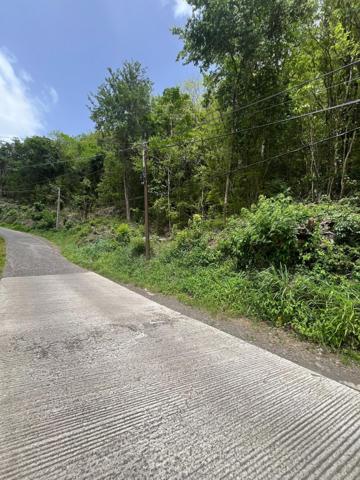 TERRAIN DE 6000m2