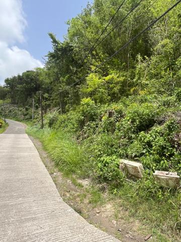 TERRAIN DE 6000m2