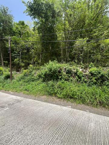 TERRAIN DE 6000m2