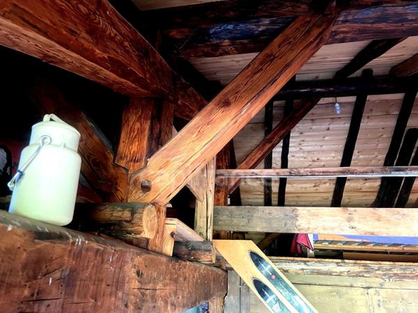 CHALET D'ALPAGE VUE EXCEPTIONNELLE LA PLAGNE-TARENTAISE (73210)
