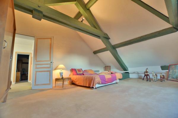 MAISON BOURGEOISE 11 PIECES CENTRE VILLE AU COEUR D'UN PARC DE 2500 m2