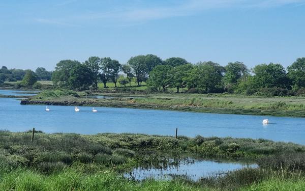 Maison à vendre    6 pièces • 136 m2 Séné