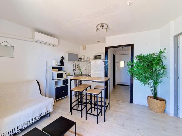 Appartement T2 37 m² vue mer loggia et parking