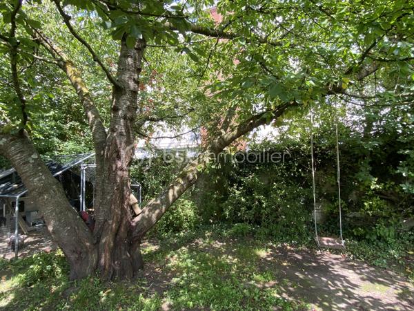 C’est au cœur de la commune de Loos que je vous invite à découvrir cette charmante maison semi individuelle, idéale pour une famille en quête de confort, d’espace et de nature.

Dès l’entrée, vous serez séduit par une agréable pièce de vie de plus de 36 m² comprenant un salon-séjour ouvert sur la cuisine, offrant un espace convivial et chaleureux pour partager de beaux moments en famille ou entre amis. Une salle de bain complète ce niveau.

À l’étage, vous découvrirez trois belles chambres ainsi qu’un espace supplémentaire pouvant être aménagé selon vos envies : bibliothèque, dressing, bureau ou coin lecture.

Au dernier niveau, les combles aménagés offrent une pièce supplémentaire parfaite pour une chambre d’appoint, une salle de jeux ou un espace dédié au télétravail.

Côté confort, la maison est équipée d’un chauffage central au gaz de ville. La chaudière, remplacée en 2025, est encore sous garantie pour une tranquillité d’esprit optimale.

Vous bénéficierez également d’une cave et d’un garage de 18 m².

À l’extérieur, place à la nature ! Vous profiterez d’un terrain de plus de 325 m² dans un environnement verdoyant et authentique très rare sur le secteur.
Les propriétaires laisseront d’ailleurs la serre et le poulailler afin que les futurs acquéreurs puissent en profiter dès leur installation.

✨ Les + de cette maison :
 Plus de 36 m² de pièce de vie
 3 chambres + combles aménagés
Garage de 18 m²
Cave
Chaudière neuve sous garantie
Jardin, serre et poulailler 
Environnement calme et verdoyant
Maison familiale lumineuse pleine de potentiel

Une belle opportunité pour ceux qui recherchent le calme, l’espace et la proximité des commodités.