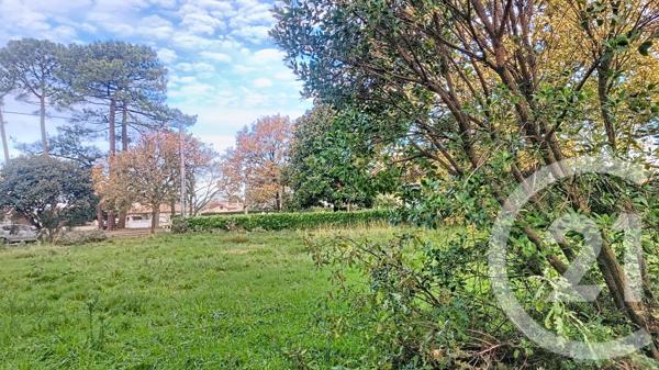 Terrain à vendre  1018 m2 GUJAN MESTRAS - 33