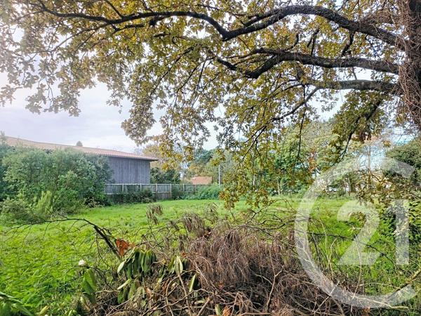 Terrain à vendre  1018 m2 GUJAN MESTRAS - 33