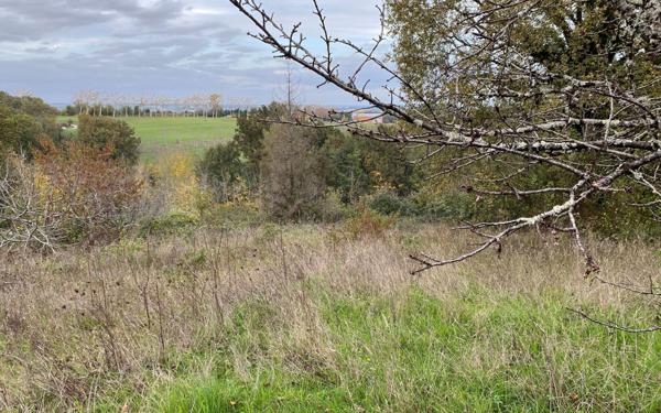 Maison à vendre    57 m2 Lafrançaise