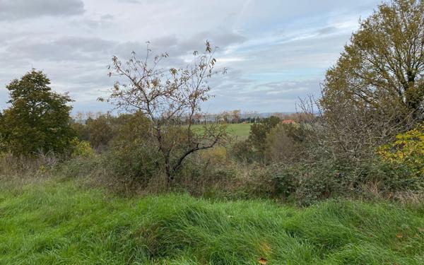 Maison à vendre    57 m2 Lafrançaise