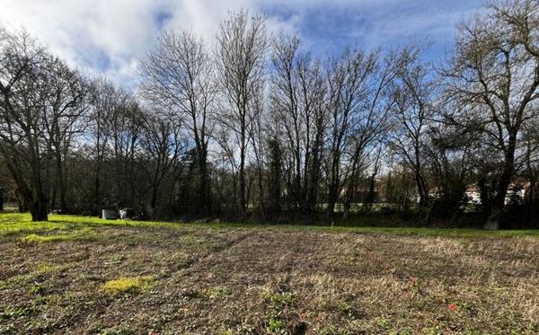 Terrain à vendre |  Brûlain |  1055 m²