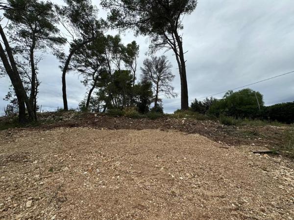 Vente Terrain 2500 m2 à Roquefort-les-Pins