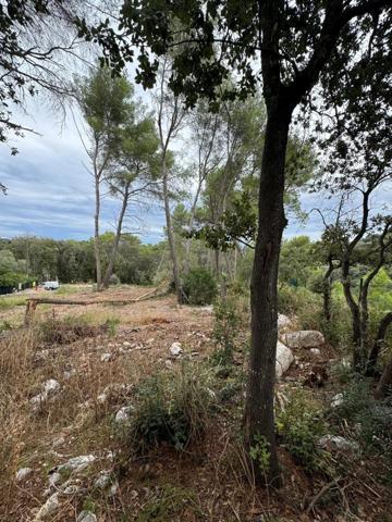 Vente Terrain 2500 m2 à Roquefort-les-Pins