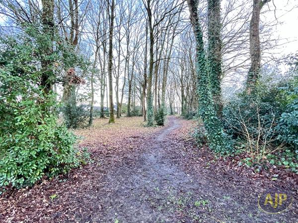 Vente maison Orvault : 359 800 € - AJP Immobilier Nantes Nord