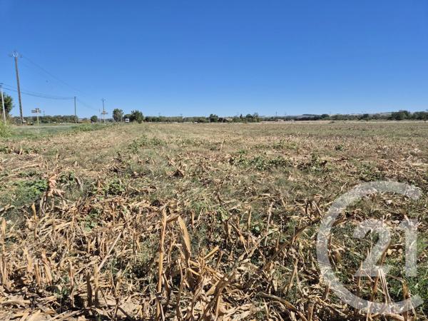 Terrain à vendre  3575 m 2   MIREMONT  - 31