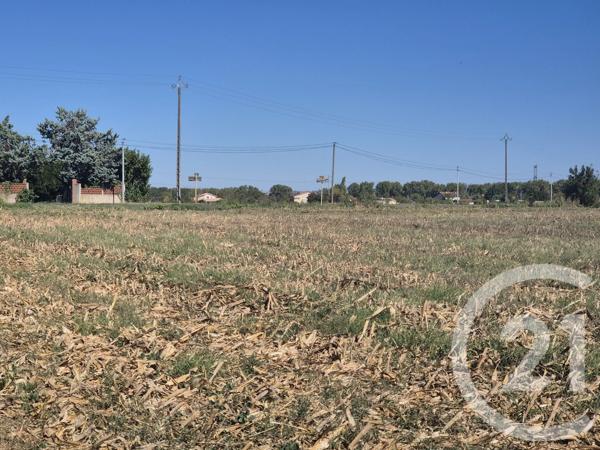 Terrain à vendre  3575 m 2   MIREMONT  - 31