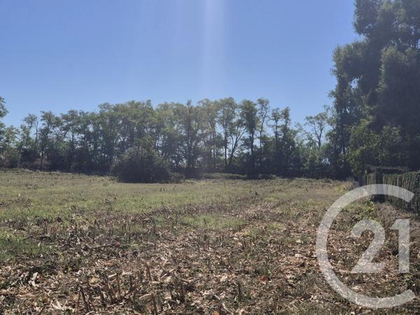 Terrain à vendre  3575 m 2   MIREMONT  - 31