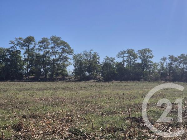 Terrain à vendre  3575 m 2   MIREMONT  - 31