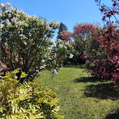 Maison 6 pièces 115 m² – 4 chambres – Terrain 1230 m² –