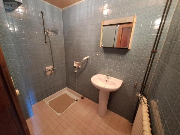 Maison à vendre à Les Ternes dans le Cantal (15100), ref : 044/1230