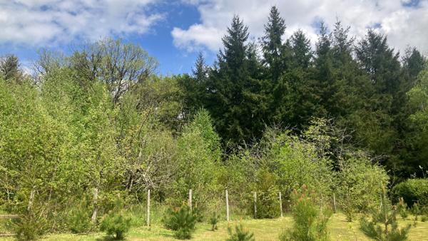 Maison 3 chambres sur sous sol complet avec double garage.