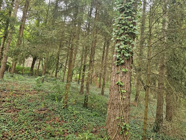 Maison 3 chambres sur sous sol complet avec double garage.